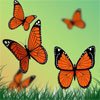 Рисуем бабочек в Photoshop