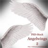 Крылья ангелов 2