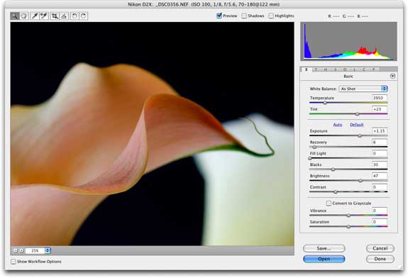 Обзор Adobe Photoshop 10