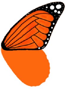 Рисуем бабочек урок 