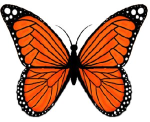 Рисуем бабочек урок 