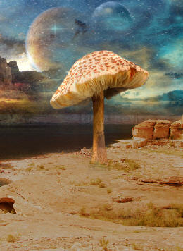 фантастические грибы
